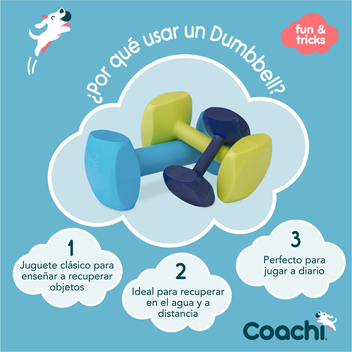 Mokomasis žaislas Coachi TRAINING DUMBBELL Mėlyna